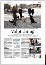 Datering frågeformulär relation online tidning